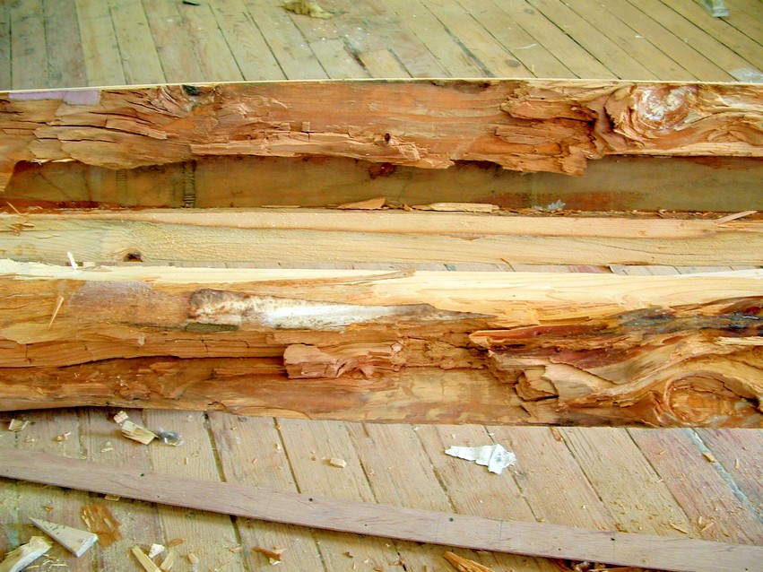 Once the mast was split open, the full extent of the rotted area was revealed.