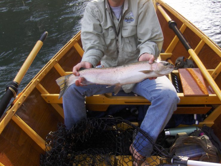 ...to not-so-wild rivers (below) where the fish are.