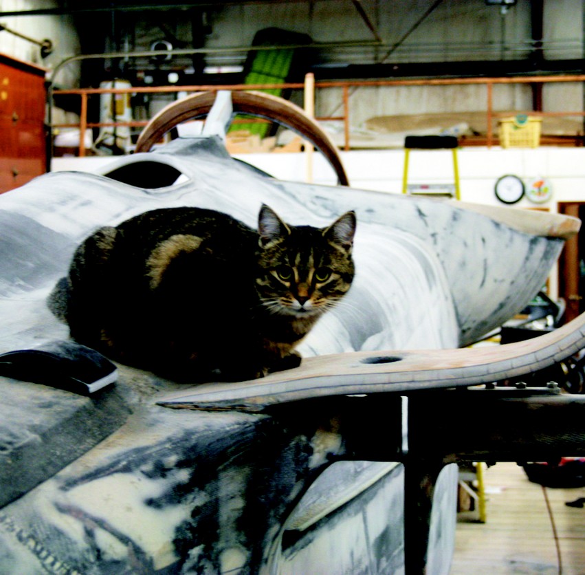 Slappy, a GBI shop cat crouches near the fuselage of STRINGS, Jan's last boat.