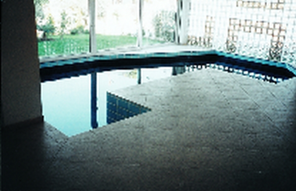 Indoor Pool Repair