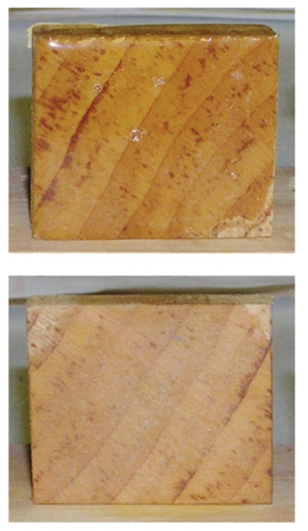 penetrating epoxy sample blocks