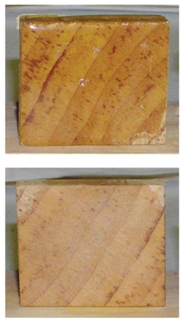 Penetration Test - Wood preservation, rot repair, and restoration using epoxy  resin on boats, homes and log homes.