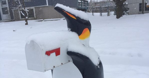 penguin mailbox epoxy
