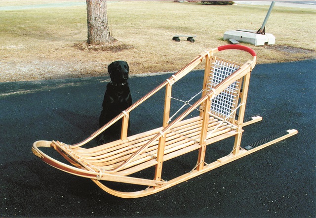 Scott Oldanie's dog and wooden dog sled