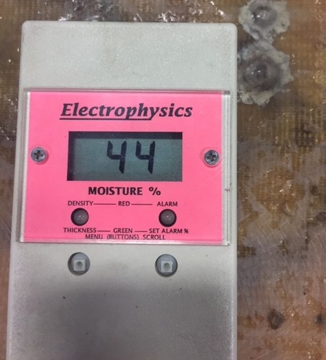 A moisture meter detected the saturated core in my sea hood