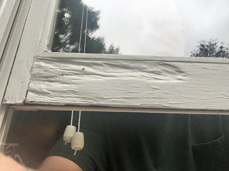 Dormer Window Repair by Michael Huffman - Epoxyworks 57